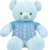 Teddy bear - Gấu áo tim xanh